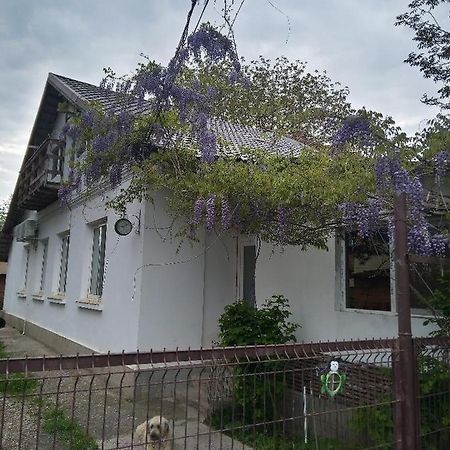 Casa Mocanu Giurgiu Exterior photo